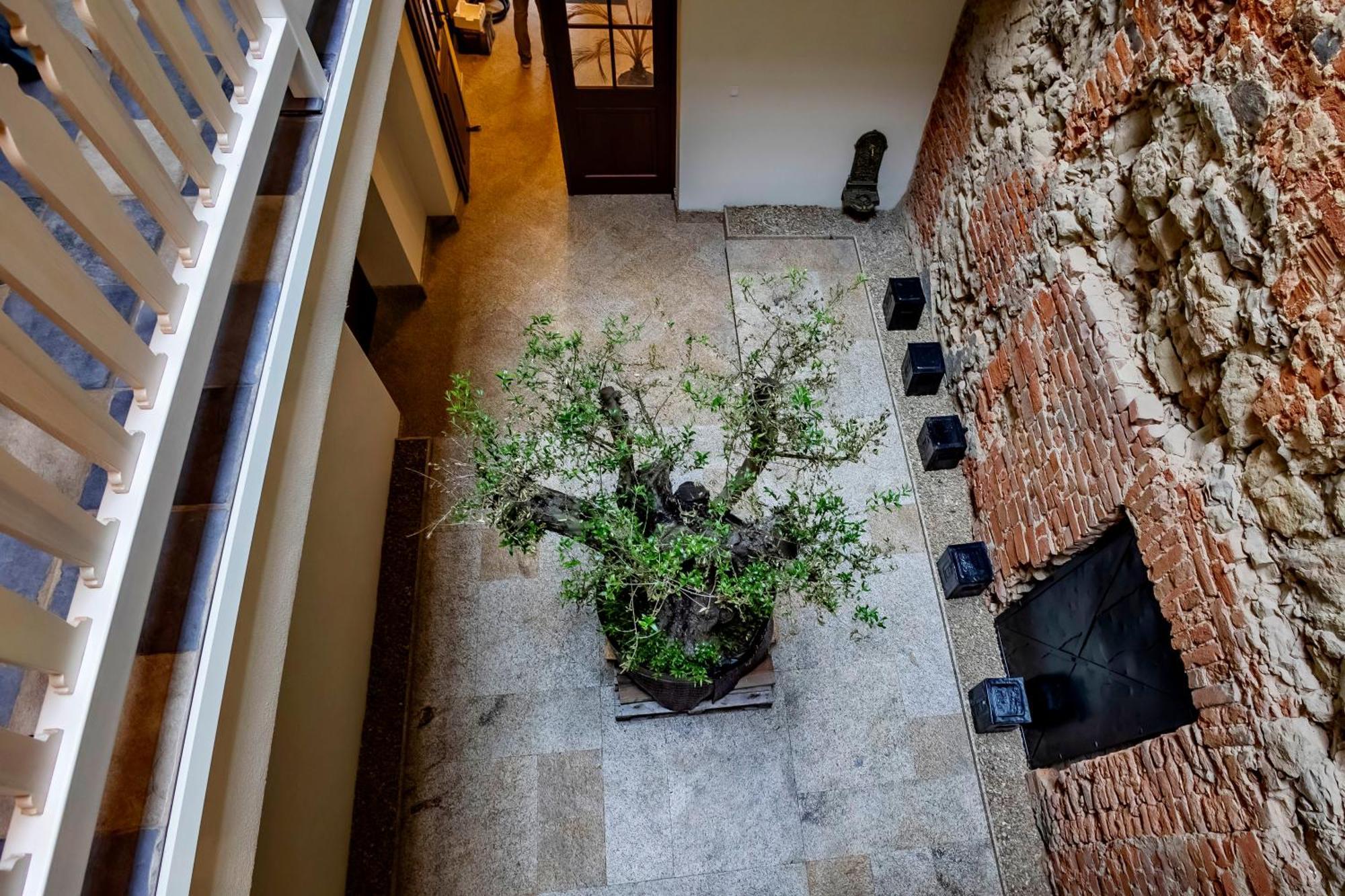 לובלין Lubartowska 19 Apartamenty מראה חיצוני תמונה